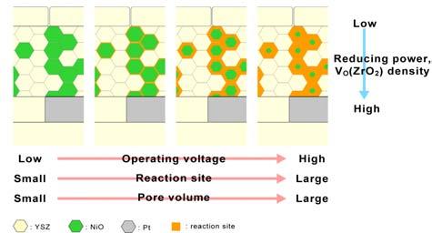 Microstructure development of electro-catalytic electrode by the factors of applied voltage