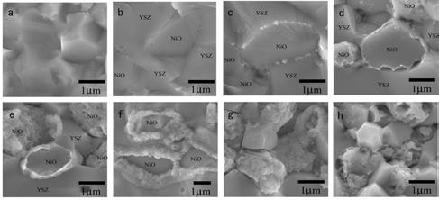 Optimization of Nano-space reaction zone (applied voltage) Microstructure development of electrocatalytic electrode at the interface of