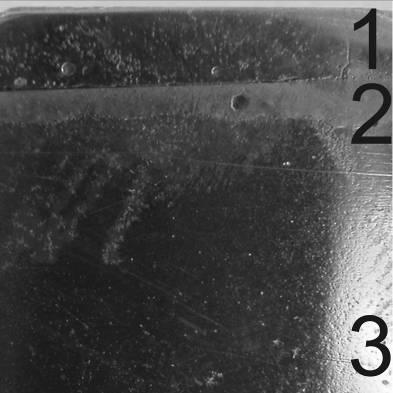 Fig. 4. Microstructure of cast carbon steel 20