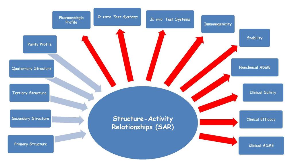 Structure-Activity Relationships (SAR): Mining SAR