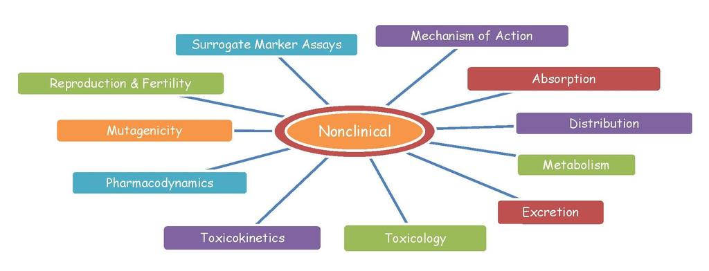 Nonclinical Programs The major aspects of
