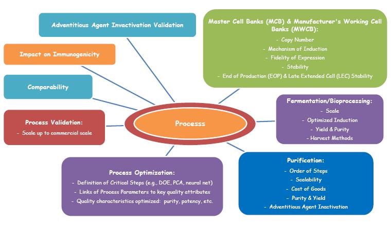 Process Development Programs The major aspects of