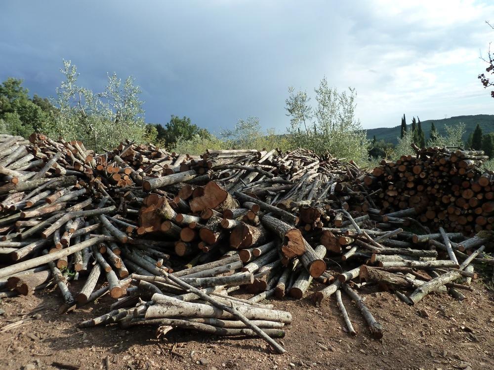 Firewood and