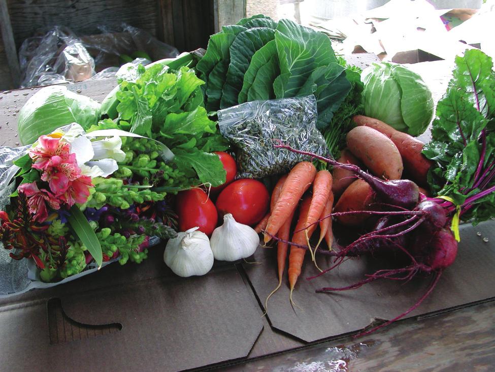 14 Seabreeze Organic Farm: Farming on the Urban Edge desired mix and quality of produce to satisfy their needs.