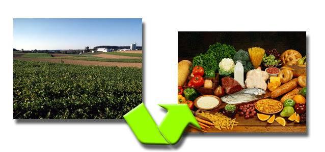 Farm-to-Table Chain Contamination could occur at any point: crops, livestock, processing, distribution, storage,