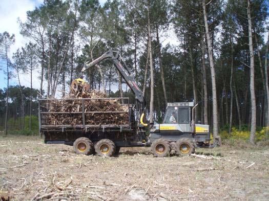 Biomass fuel, a resource of future for industries 503,000 t of biomass fuel per year 219,000 t of barks and fines sub product