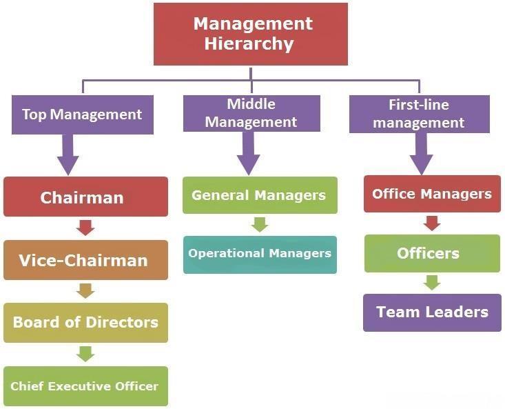 Management Hierarchy The company