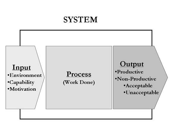Optimized Systems Figure 3 shows how systems work. The inputs include environment, capability and motivation. The process is where the work actually is done.