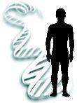 Section III-C-1 Human Gene Transfer: Does the clinical research meet any one of the following criteria?