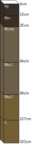Soil Horizon Names: Bn, Btnzy, Bk etc. Soils are described with Upper case and Lower case letters assigned to the different horizon. Master horizons A, E, B, C primarily in our area.