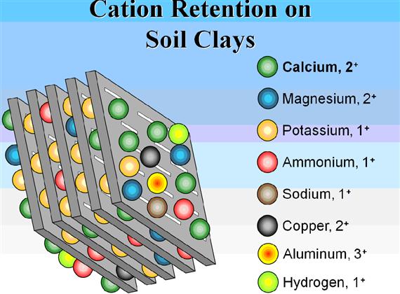 Cation Exchange Capacity (CEC) Total amount of cations that a soil can hold. The greater the soil CEC, the greater the ability the soil has to store plant nutrients.