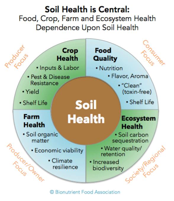 Building healthy soils for healthy crops LORI