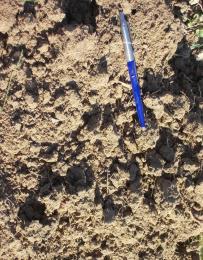 Useful in evaluating effects of soil management on soil structure (tilth). Procedure: Soil sample dried at 40C, collect crumbs > 0.