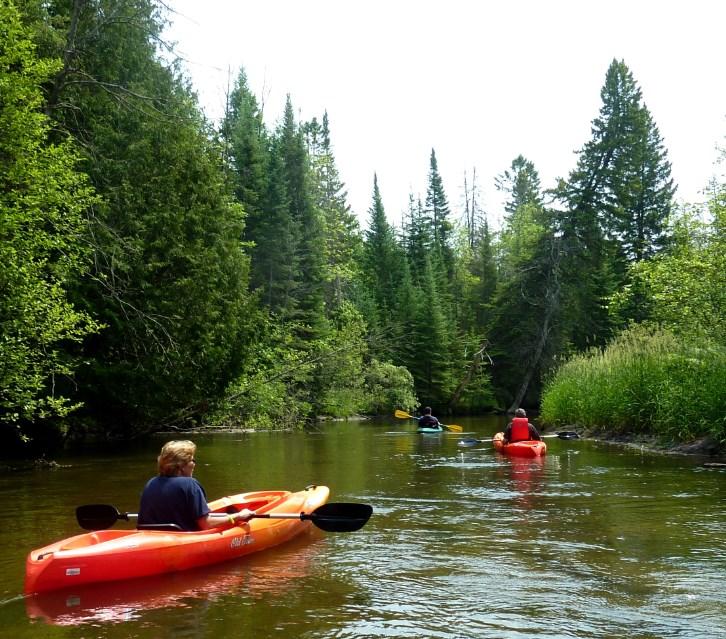A Summary Guide to the Rifle River WATERSHED