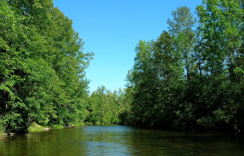 The Action Plan The Rifle River Watershed Management Plan does more than just identify pollutant sources and other natural resource concerns it also provides a detailed strategy for addressing those