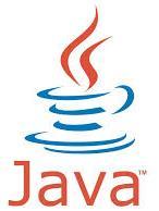 Java Runtime The Java Runtime enables developers to leverage existing knowledge and use that to bring applications on SAP HANA and the cloud.