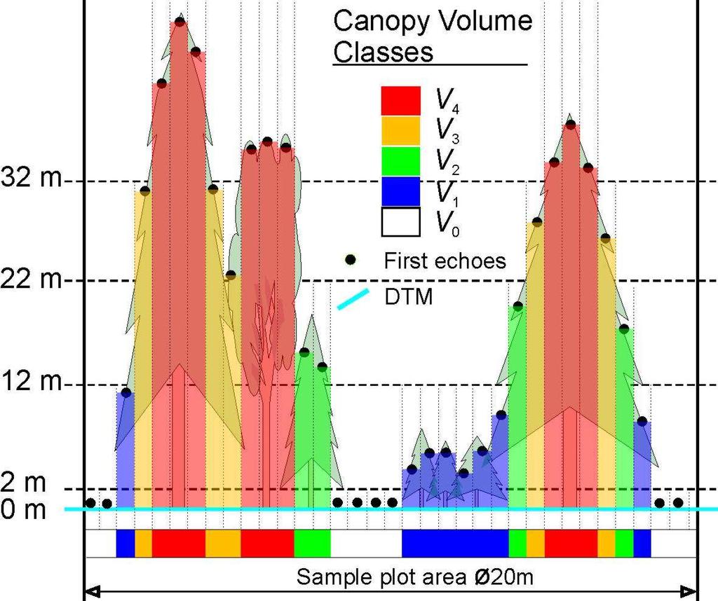 [m³/ha] Mean canopy height for the canopy height classes i [m] f first-echo,i