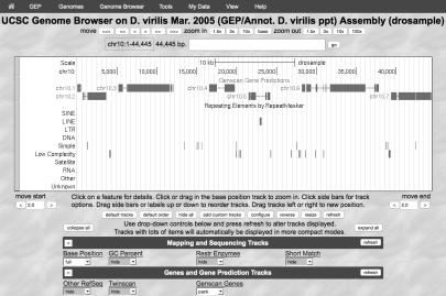 GEP UCSC Genome Browser (http://gander.wustl.edu) Genome Browser D. virilis Mar. 2005 chr10 2. FlyBase (http://flybase.