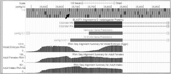 Overview of RNA-Seq (Illumina) 5 cap Poly-A tail Processed mrna AAAAAA RNA fragments (~250bp) Library with adapters 5 3 5 3
