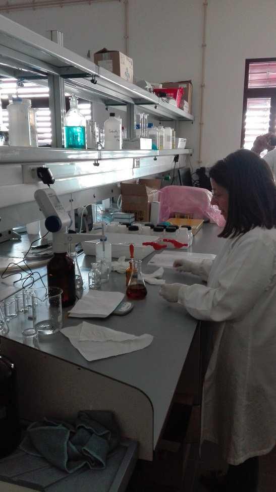 4 Laboratorial procedures The water samples collected at the different stations were processed in the laboratory of the University of Algarve, with the support of
