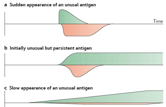 Induction of the Immune Response According to the Discontinuation Theory Persistent presence of an antigen induces an initial immune response followed by tolerance 1 It is