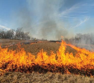 NPS under discussion Prescribed Burning (PM 2.
