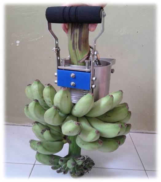Good Agricultural Practices On Banana Farms In The Magdalena Region,