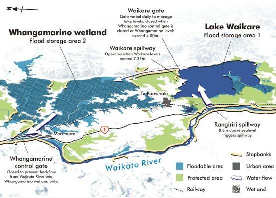 5.2 Flood Defence Scheme Lake Waikare and the Whangamarino wetland are part of the lower Waikato Waipa flood defence scheme.