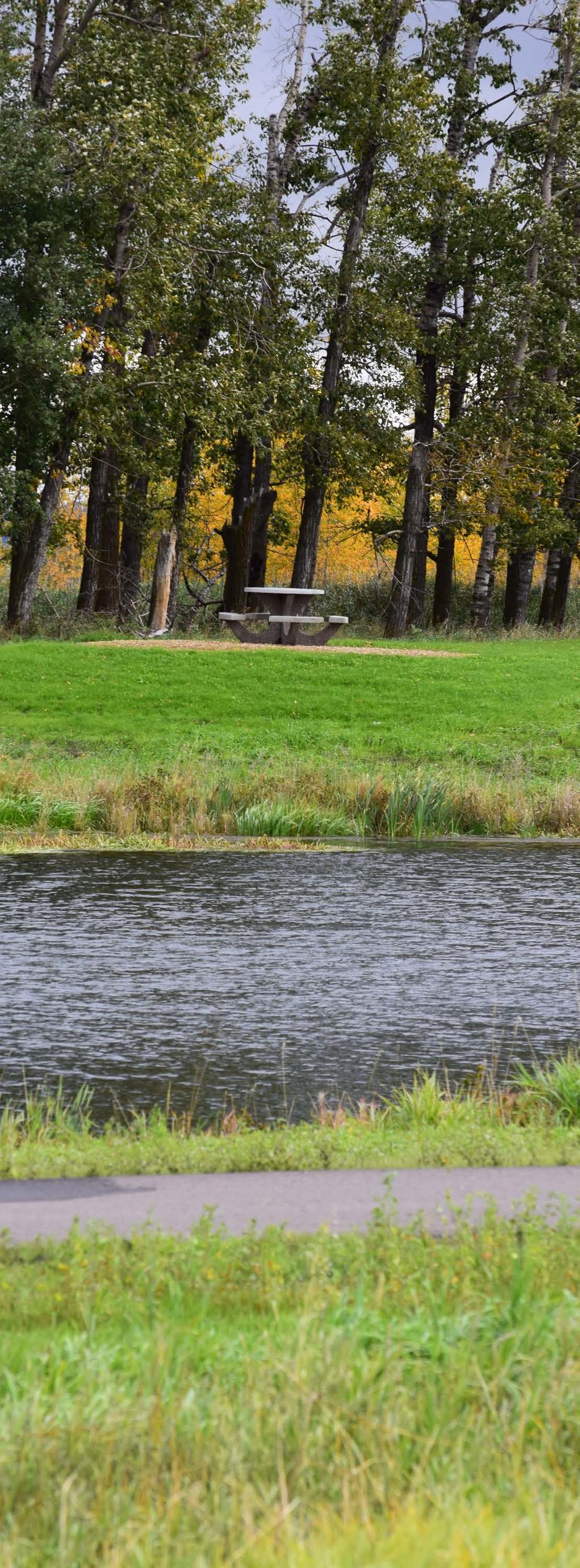stormwater from the development, subject to Alberta Environment and Parks (AEP) approval.