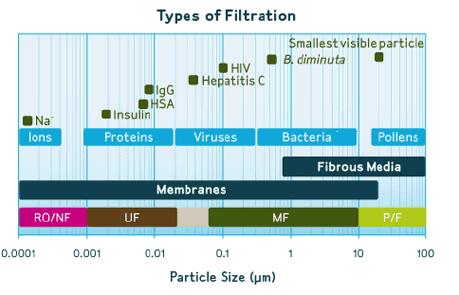 Microfiltration (MF) & Ultrafiltration (UF) MF, UF are the most widely used membrane filtration processes.