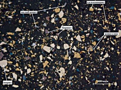 Cu head is mainly represented by dissociated grains of copper minerals: dissociation of chalcopyrite reaches 92%; bornite 79%; chalcosine and covelline 55%.
