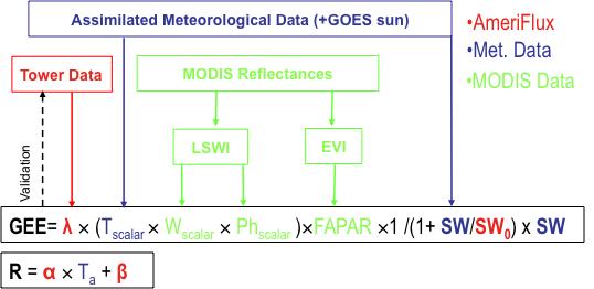 Vegetation Photosynthesis and Respiration Model (VPRM) o Three parameters (λ,α,β ) x 11 vegetation classes o Temporal and spatial carbon fluxes captured with remote sensing data and parameters (λ,α,β