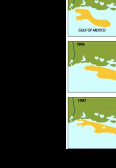 Gulf of Mexico Dead Zone Gulf of Mexico, associated with Mississippi River Hypoxia : large