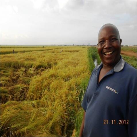 Testimonials I have 2 hectre land in Mwea, Kenya. Initially I was very reluctant to use KSNM Direct Paddy Seeder. I just tried a small portion of the land.