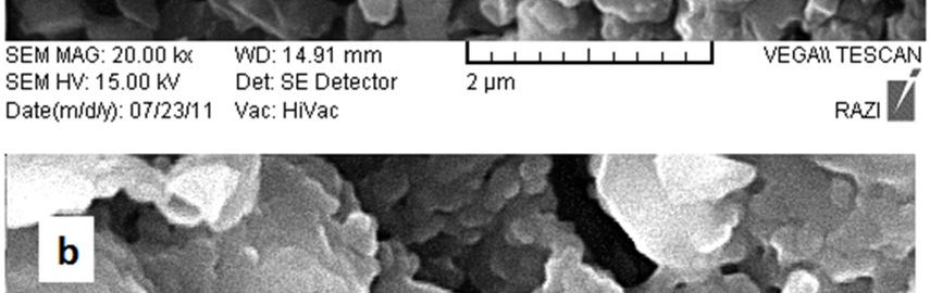 Of course, some particles from the starting precursor which have not participated in the reaction are observed in geopolymer micrograph. References Fig.5.