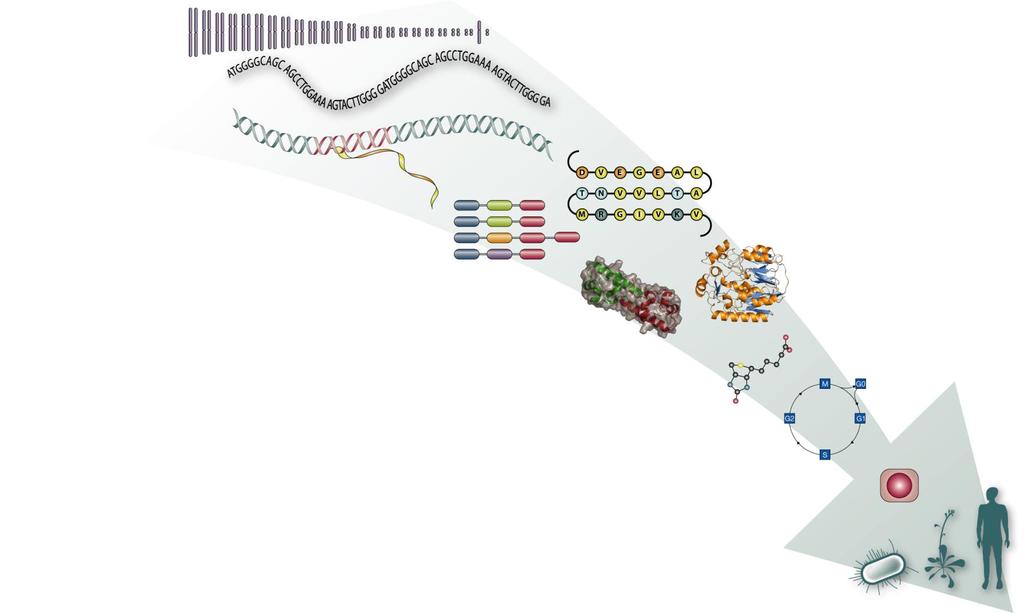 The biobank perspective Genomes