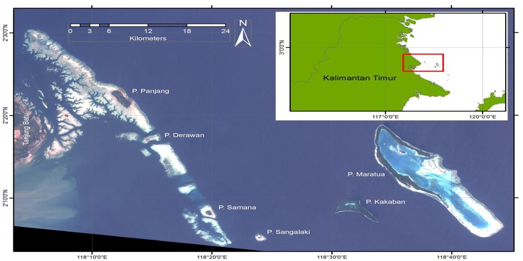 Demo Site for Blue Carbon in Derawan