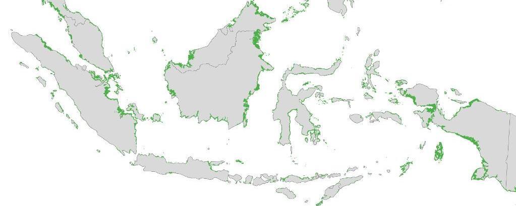 Mangrove Distribution in Indonesia Total