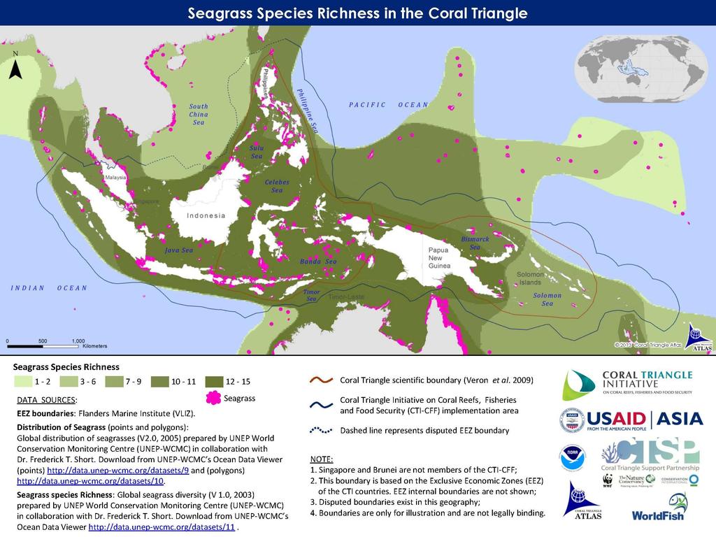 Total Seagrass Area in Indonesia: