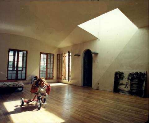 Problems with traditional skylights Traditional skylights are decorative, but not effective day lighting systems for