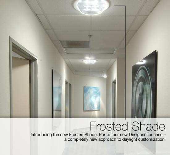 Standard T-bar ceiling fixtures bring sunlight into offices.