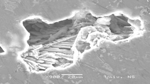 For the more detailed analysis of the porosity we used SEM microscopy. A B C Figure 6.