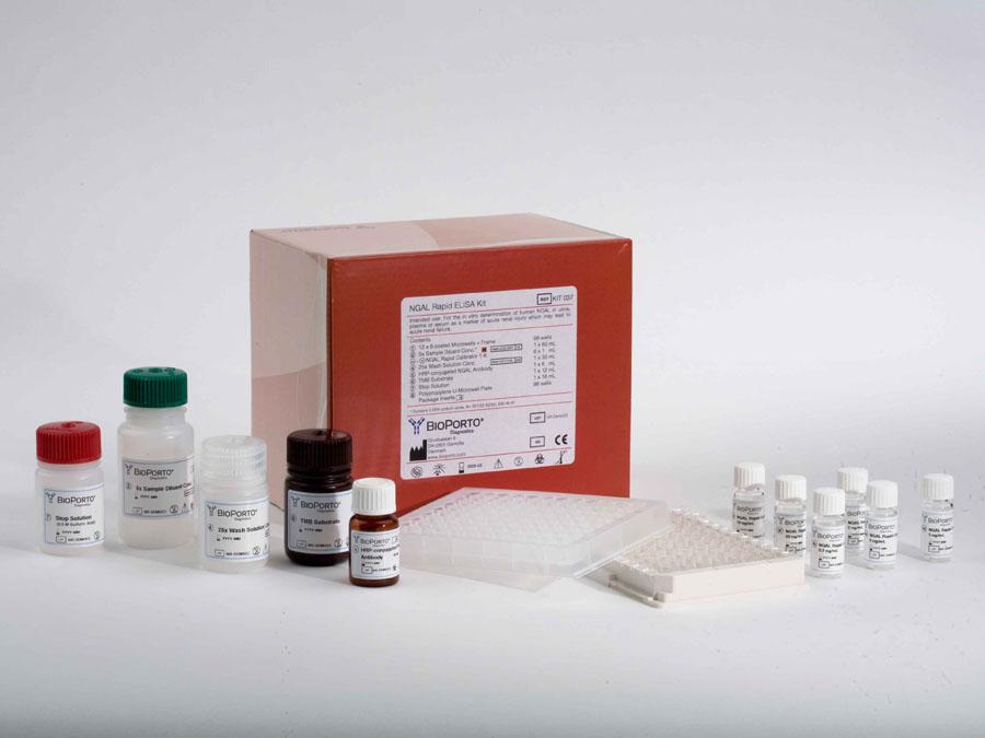 NGAL Rapid ELISA Kit CE IVD An ELISA for the determination of human NGAL in urine