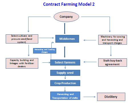 Figure 2. Sketch of contract farming model 2. 1.