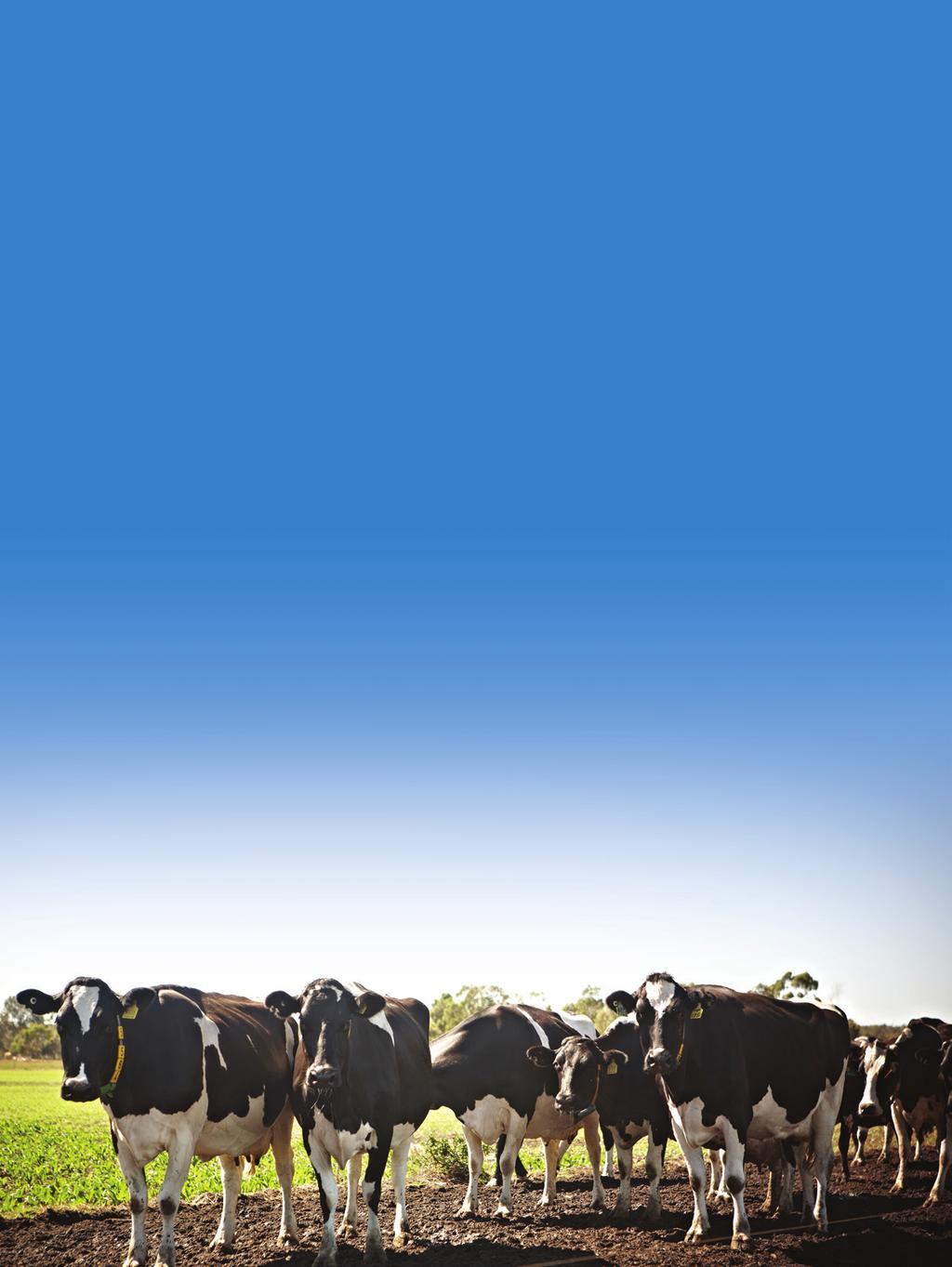 The Western Australian dairy industry is one that is poised and ready for change. It offers many opportunities for investment in dairy production and exporting.
