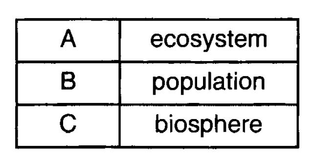 Name Levels of Ecological Organization Date 1. The chart below shows three ecological terms used to describe levels of organization on Earth.