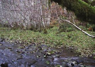 Historical removal of large wood from streams also occurred on public and privately managed lands.
