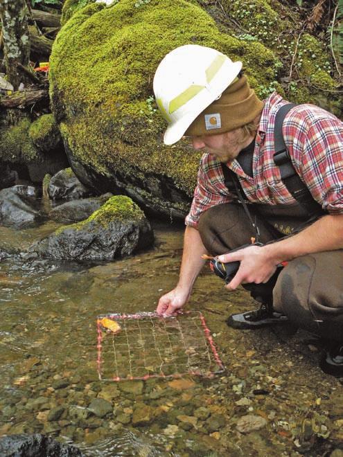 The NWFP area contains 1,379 watersheds that met the sampling criteria of at least 25 percent of stream channels along the 1:100,000 stream layer in federal ownership.
