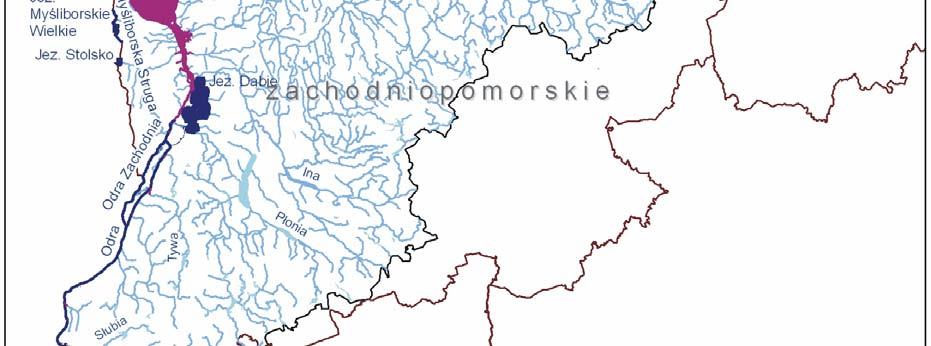 directors Voivodeship marshals Water of territorial sea, costal water bodies Groundwater, mountain streams and sources Natural streams when discharge exceeds 2 m³/s at outlet Lakes, reservoirs