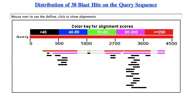 Question 7: What is the orientation of the Swallow gene relative to our query sequence? Question 8: Look at all the matches to SWA_DROME in your blastx output. Is the entire protein matched?
